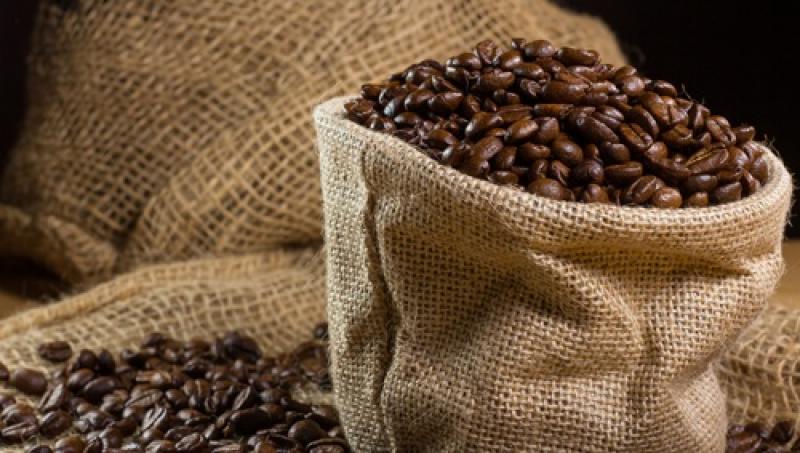 “El café demuestra que los cultivos alternativos actúan como barreras efectivas contra los cultivos ilícitos”