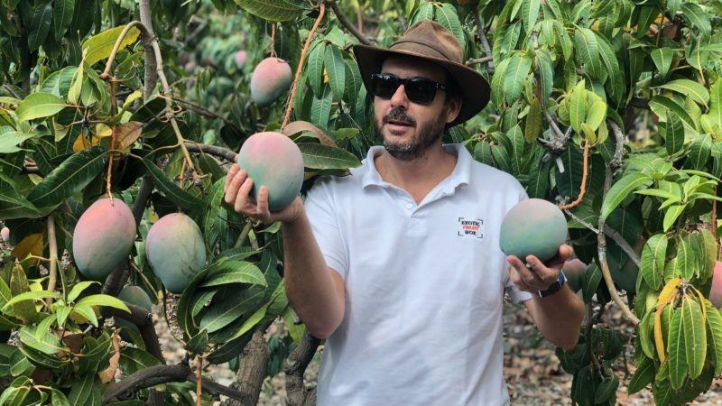 El cambio climático anima a la producción de fruta tropical en Europa: ¿por qué le importa a Latinoamérica?
