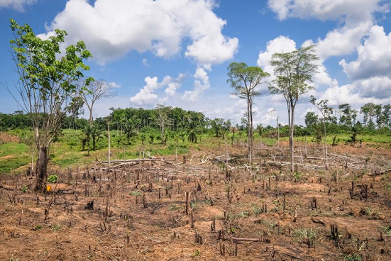 El cambio climático va a afectar a toda la cadena de producción agrícola