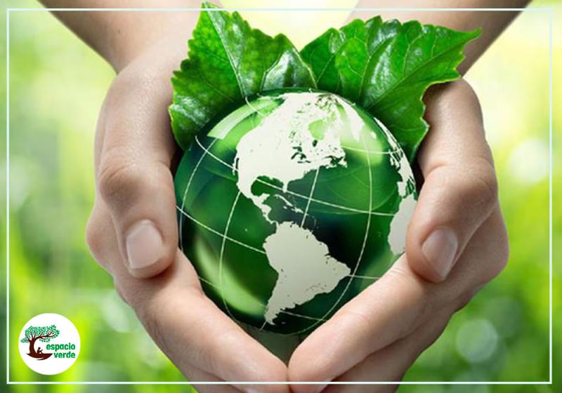 El Crecimiento del PBI en el Perú: ¿Un Debate Estéril sin Sostenibilidad?