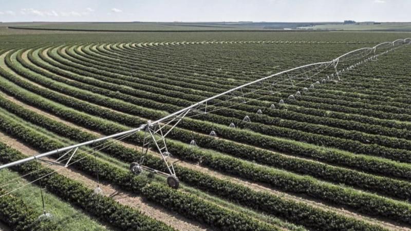 El fin de las irrigaciones en el Perú