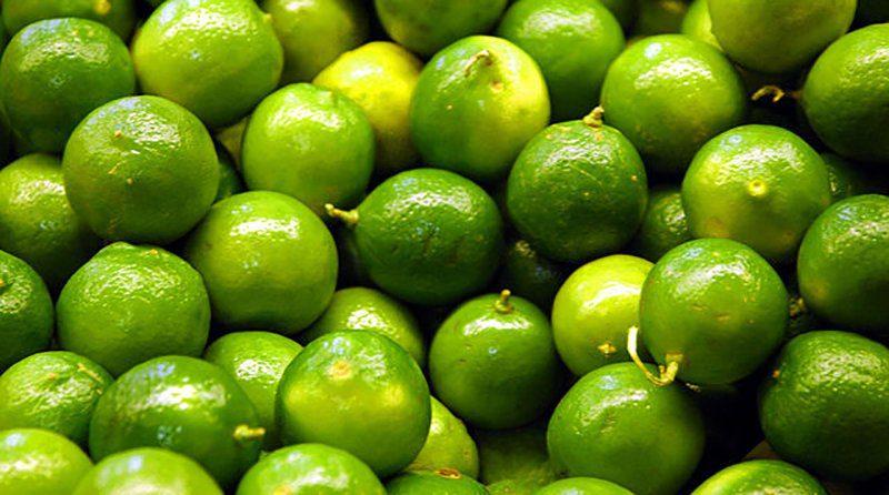 ¿El gobierno puede importar limón ante el alza de precios?