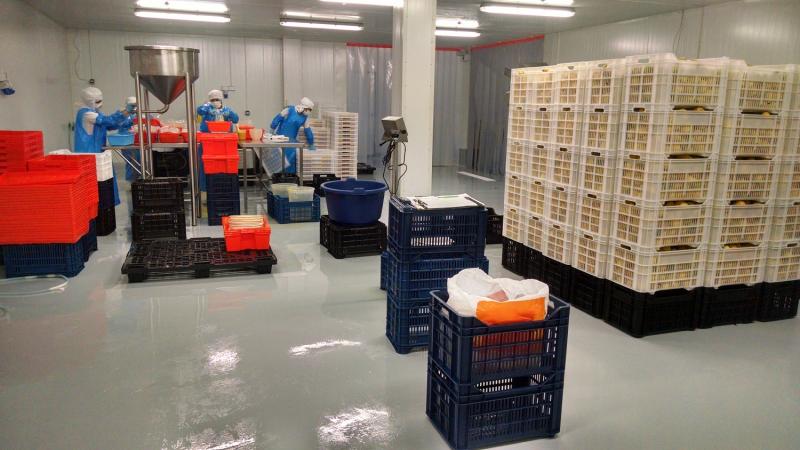 El mercado de pisos industriales también crece con la agroexportación