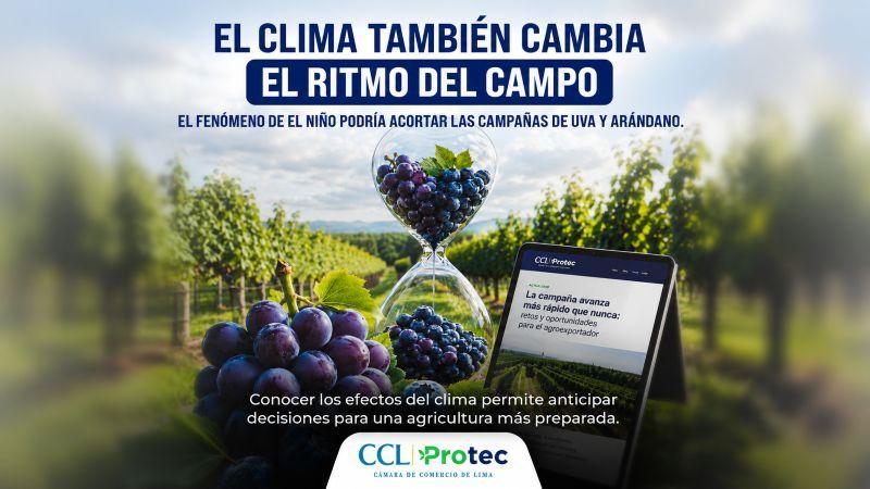 El Niño: pequeños y medianos agricultores requieren apoyo del estado para afrontar las altas temperaturas