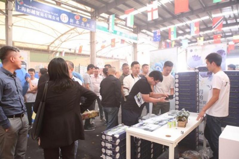 El primer contenedor de arándanos OZblu peruanos llegó a China