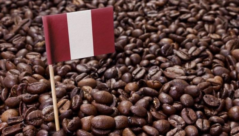 El sector café se consolida como una importante fuente de empleo