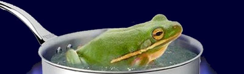 El síndrome de la rana y los indicadores de gestión.