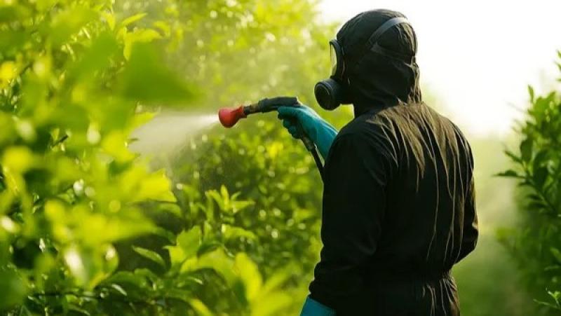 “El verdadero desafío del sector no pasa por prescindir de los plaguicidas, sino por asegurar su uso correcto”