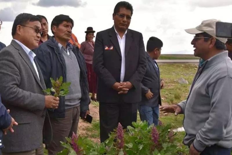 Embajador de China visitó Puno para agilizar exportación de quinua