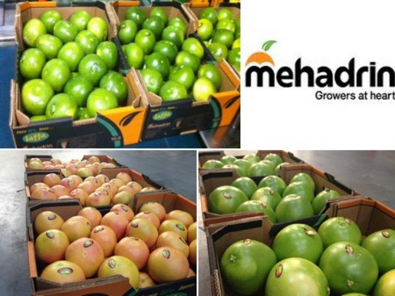 EMPRESA ISRAELÍ ABRE OFICINA EN PERÚ PARA INCREMENTAR SUS COMPRAS DE PRODUCTOS FRESCOS