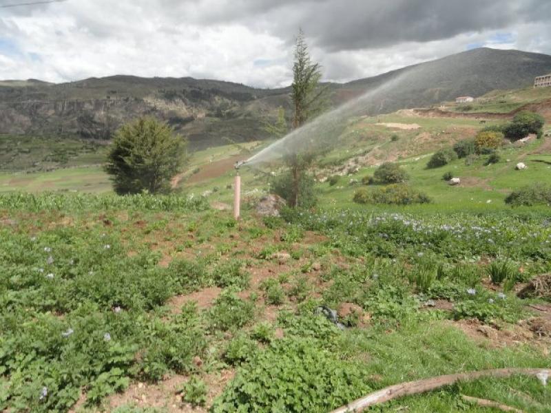 EMPRESARIOS ESPAÑOLES DESEAN APLICAR TÉCNICAS DE RIEGO EN PIURA 