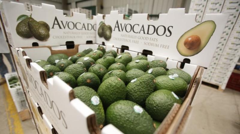 Empresarios peruanos de alimentos buscarán vínculos comerciales en Guatemala