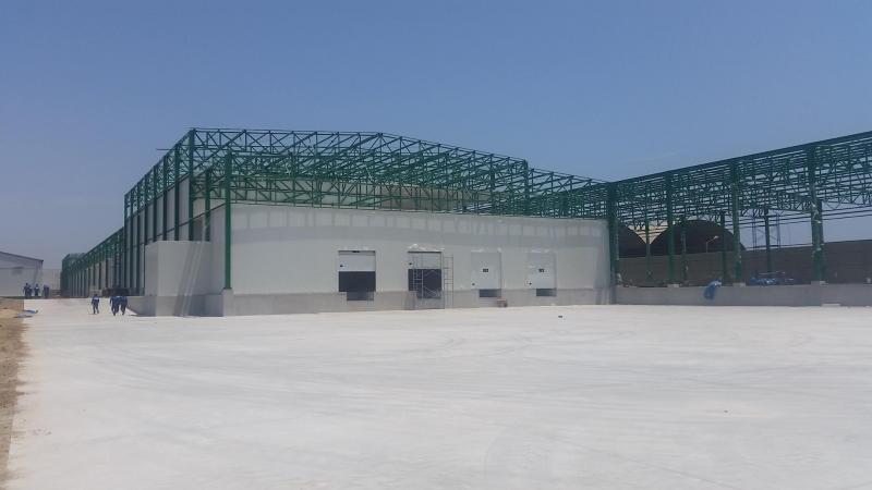 Empresas dedicadas a la construcción de packing tienen gran potencial de desarrollo en los siguientes años