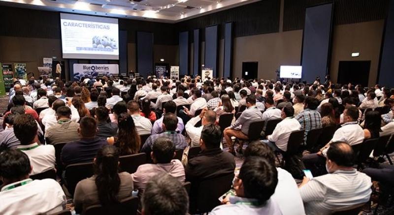 En Trujillo se realizará un nuevo encuentro de la industria peruana del arándano organizado por Blueberries Consulting