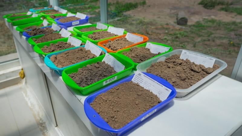 Entregan Mapa de Fertilidad del Suelo Agrario para la región de Puno