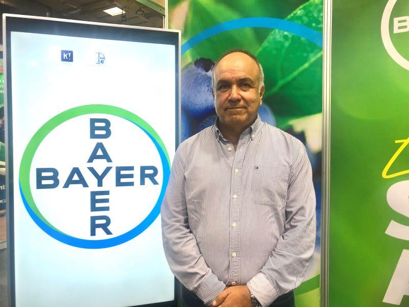 Es probable el incremento de áreas de maíz en la costa ante la incertidumbre climática