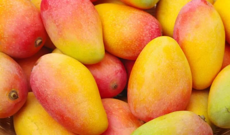"Es temporada alta de mango, y la demanda de soluciones para la conservación de la frescura ha aumentado"