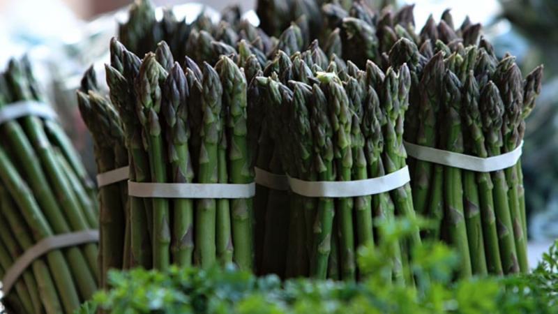 Espárragos, arándanos y flores lideraron exportaciones vía aérea