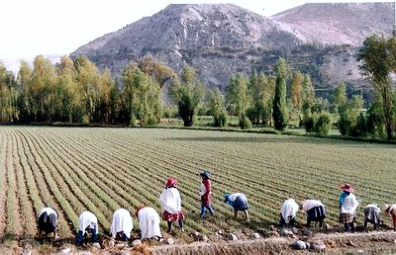 EXPERTOS MUNDIALES EN MICROFINANZAS SE REUNIRÁN EN LIMA 