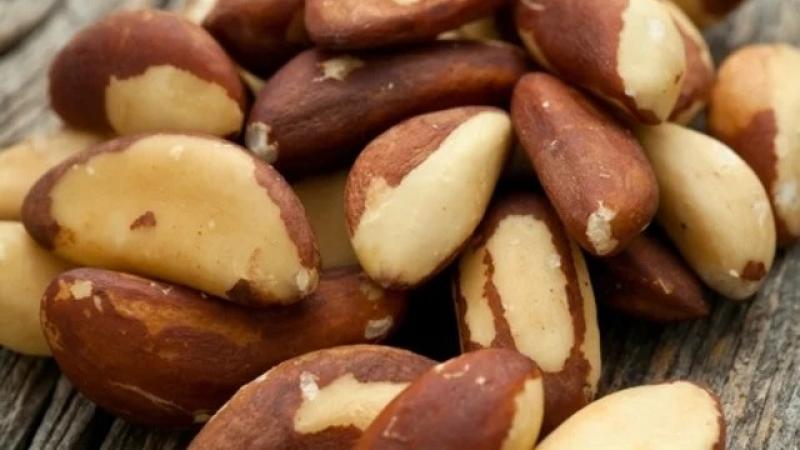 Exportación peruana de nuez de Brasil llegó a 16 mercados en mayo del presente año