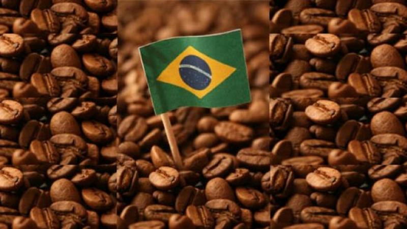 Exportaciones de café de Brasil alcanzaron las 2.726 mil toneladas por US$ 11.159 millones en 202