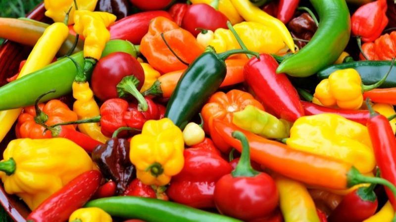 Exportaciones de capsicum sumaron US$ 672.698.000 en el 2025