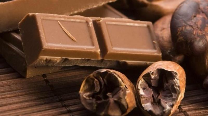 Exportaciones de chocolate alcanzan los US$ 15.8 millones y ya superan resultados del año anterior