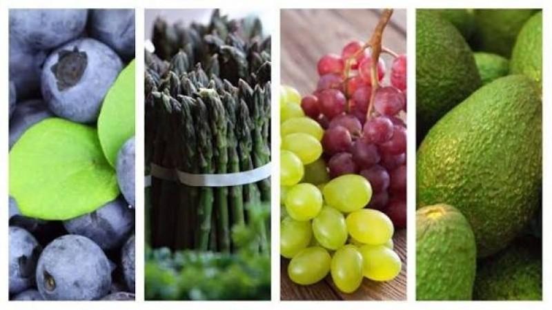 Exportaciones de frutas y hortalizas crecieron en valor 17.3% hasta abril de 2026