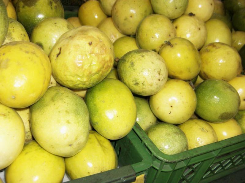 Exportaciones de jugo de maracuyá bordean los US$ 17 millones