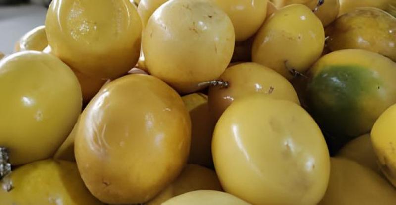 Exportaciones de maracuyá de Perú crecieron 70% en volumen y 91% en valor en abril