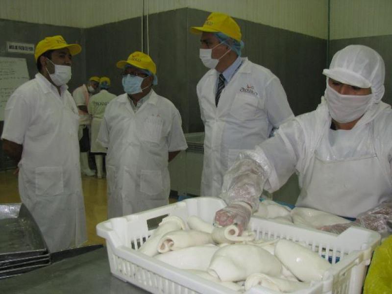 EXPORTACIONES DE POTA SE INCREMENTAN EN 6.4%