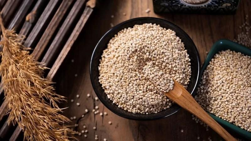 Exportaciones de quinua alcanzaron los US$ 25 millones en el primer bimestre del año