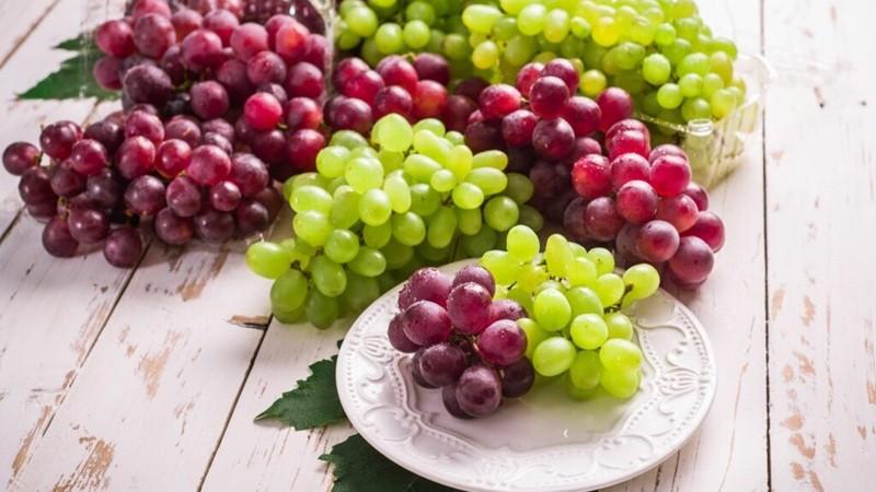 Exportaciones de uva de mesa del hemisferio sur alcanzaron las 1.78 millones de toneladas en la campaña 2024/202