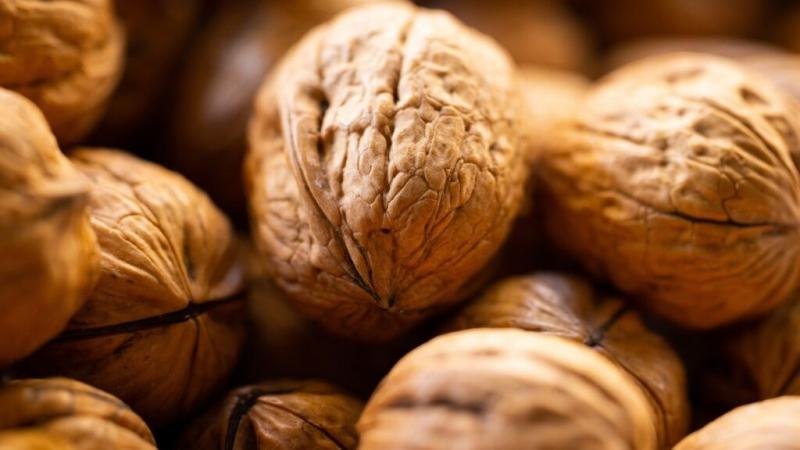 Exportaciones frutícolas de Chile alcanzaron los US$ 9.460 millones en la temporada 2024/2025, mostrando un aumento de 1.1%