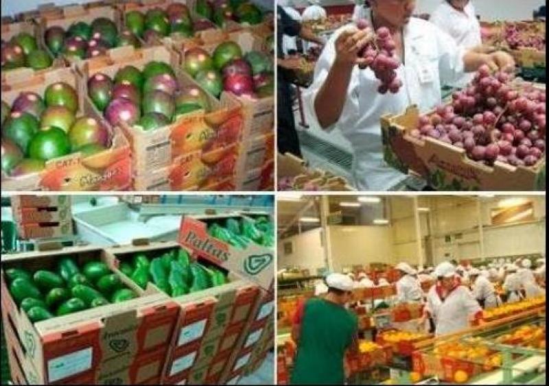 EXPORTACIONES NO TRADICIONALES CRECEN 7% EN PRIMER SEMESTRE