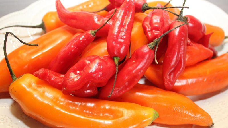 Exportaciones peruanas de ajíes nativos sumaron US$ 11.827.000 en el primer semestre del 2025