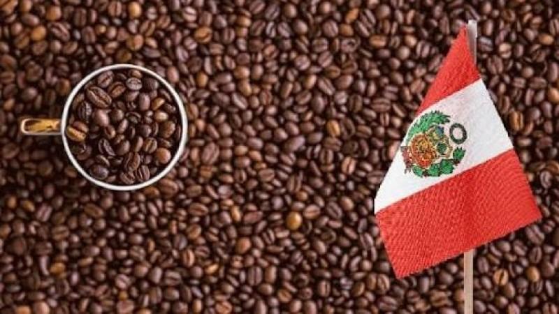Exportaciones peruanas de café sumaron US$ 229.2 millones a mayo de 2026