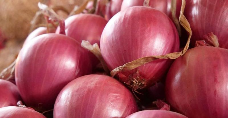 Exportaciones peruanas de cebolla cayeron 16%