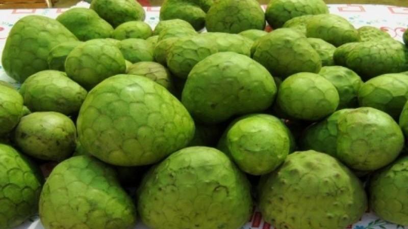 Exportaciones peruanas de chirimoya superaron los US$ 2.8 millones en 2025