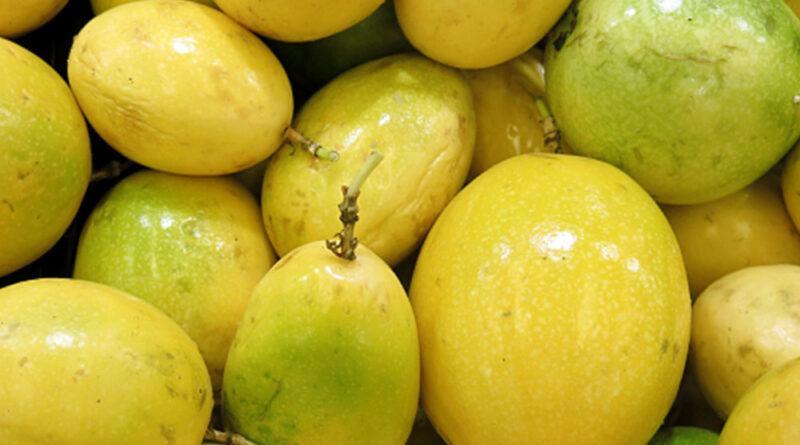 Exportaciones peruanas de maracuyá sumaron US$40.012.000 en la primera mitad del 2025