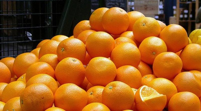 Exportaciones peruanas de naranjas llegan a valores de US$ 3.2 millones