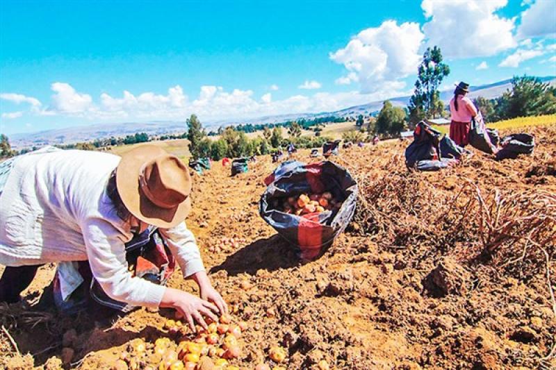 Facultan al MEF para legislar sobre medidas financieras dirigidas a la agricultura