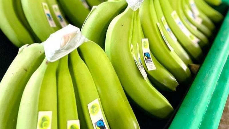 Fairtrade subirá los precios mínimos de la banana un 6%