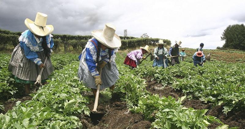 FAO: Sistemas agroalimentarios del mundo emplean en la actualidad a más de mil millones de personas
