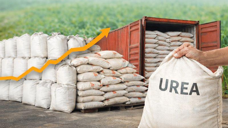 Fertilizantes en alza: costos presionan al agro y obligan a las empresas a ajustar estrategias en el campo