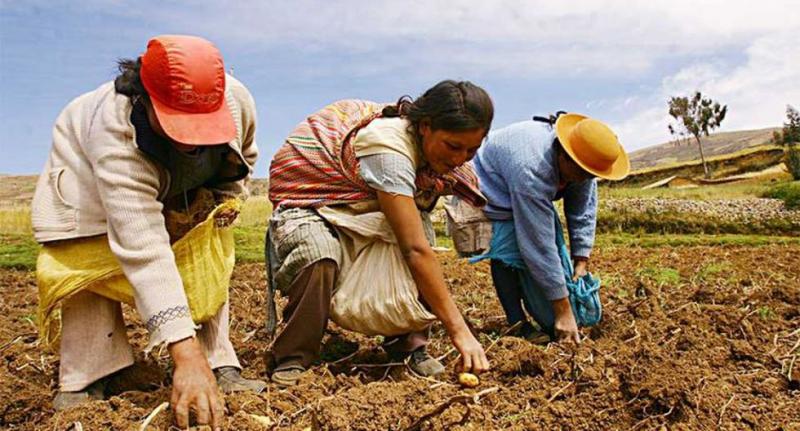 Financiamiento directo: más de 25.000 familias del agro accederán a créditos