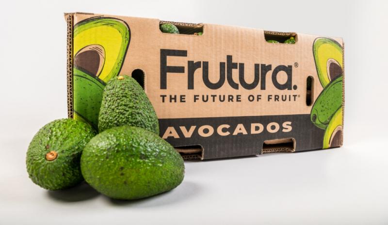 Frutura refuerza su presencia en el mercado de la palta con adquisición de Montana Fruits