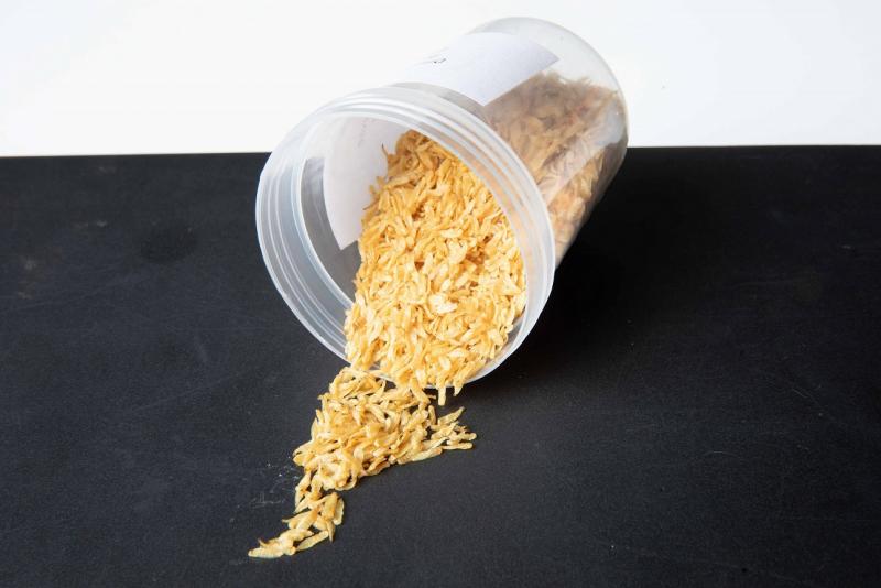 Gigante de la industria alimentaria Thai Union Group invierte en desarrollo de proteínas a base de insectos