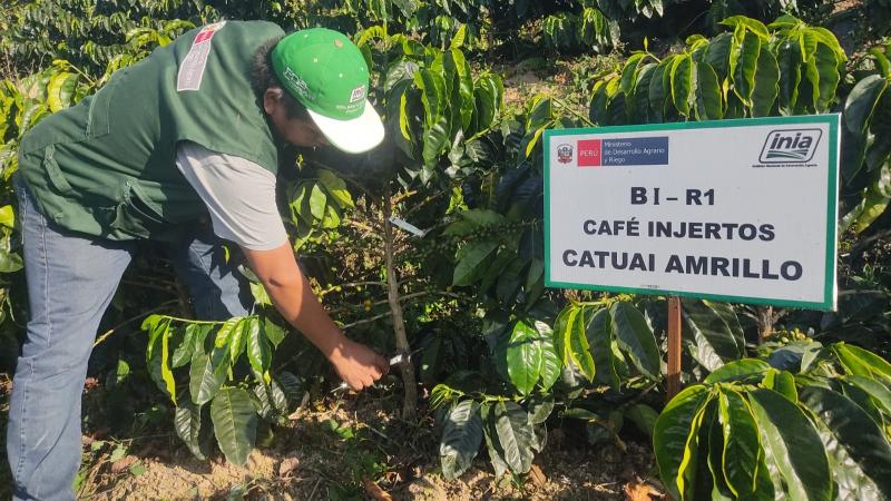 Gobierno aprueba reglamento de la Ley de Extensión Agropecuaria en beneficio de más de 2 millones de productores