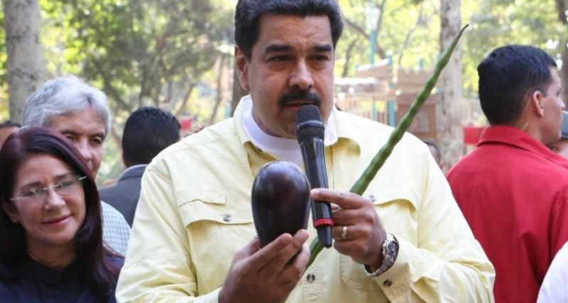 Gobierno venezolano promueve la agricultura urbana para capear la falta de alimentos